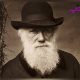 بیوگرافی چارلز داروین بنیان گذار نظریه تکامل
