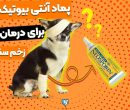 7 تا از بهترین پماد آنتی بیوتیک برای زخم سگ