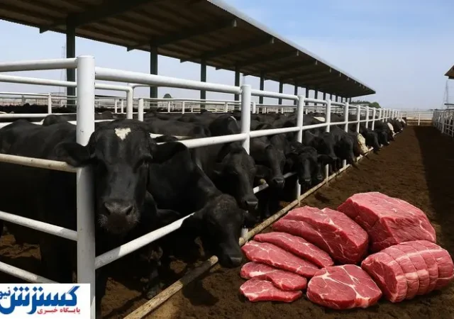 جنجال بر سر گوشت پاکستانی و قزاقستانی | دامدار ایرانی قربانی شد