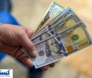 فرمان معکوس در بازار ارز | کاهش قیمت دلار تا کجا ادامه دارد؟