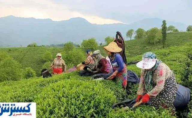 دولت به وعده‌اش عمل کرد | مطالبات پرداخت شد