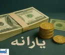 اعتراض عضو مجمع تشخیص مصلحت نظام به یارانه‌ها؛ ظلمی که باید اصلاح شود