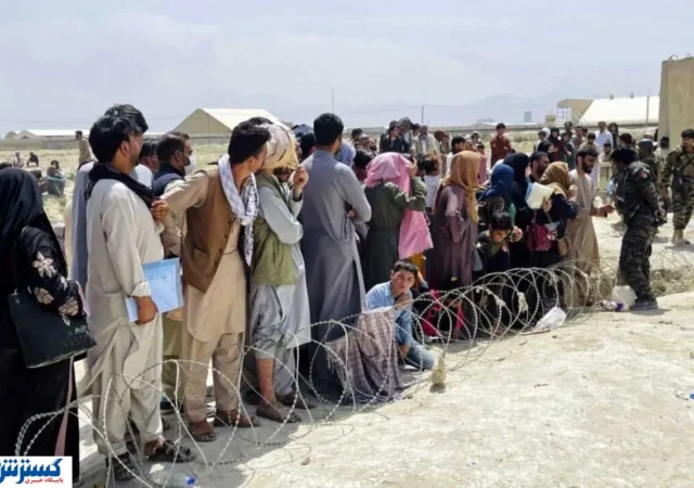 پشت پرده آمار ۸ هزار ویزای کار؛ کارگران افغانستانی بیمه تامین اجتماعی می‌شوند
