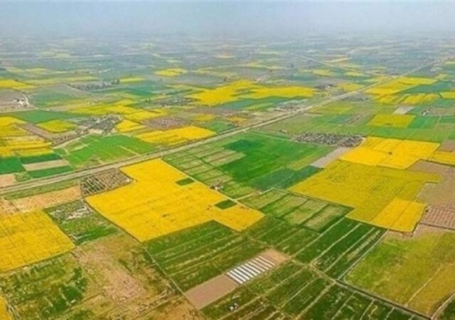 70 درصد اراضی کشاورزی سنددار شدند