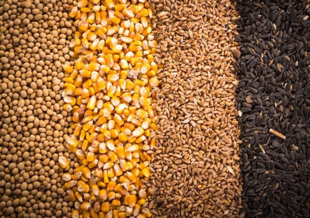 آغاز تخلیه و بارگیری نهاده های دامی تحت کلید دولت
