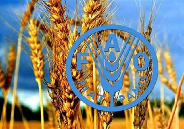 برنامه پزشکان خاک ایران مورد تحسین فائو قرار گرفت