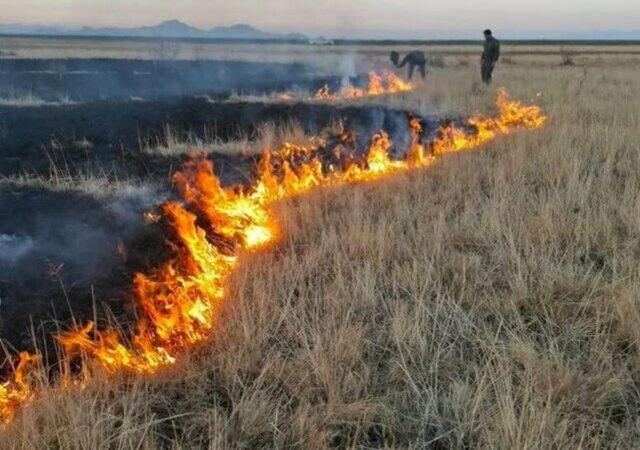 جزئیات مهار آتش‌سوزی در پارک ملی دریاچه ارومیه