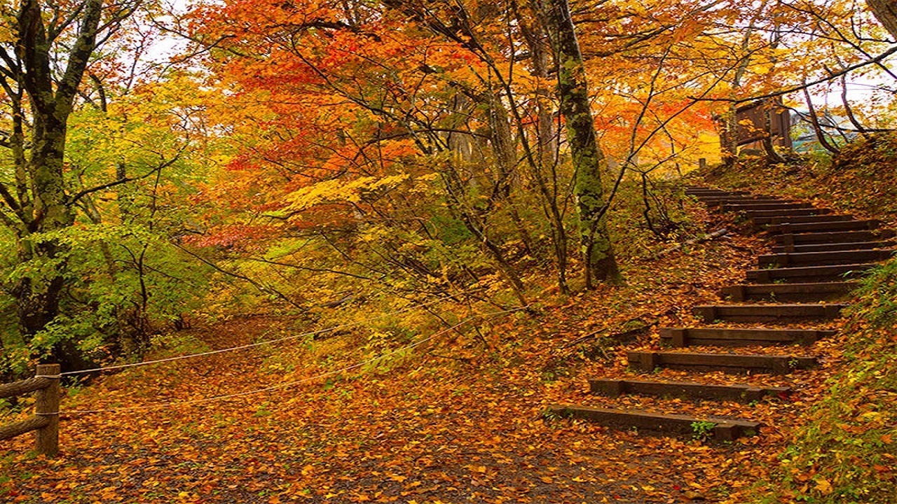 سفر پاییزی خانوادگی