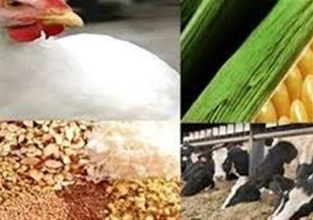 سهمیه دی نهاده‌ها به زودی در بازارگاه بارگذاری می‌شود