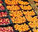 میوه شب عید بدون افزایش قیمت عرضه می‌شود