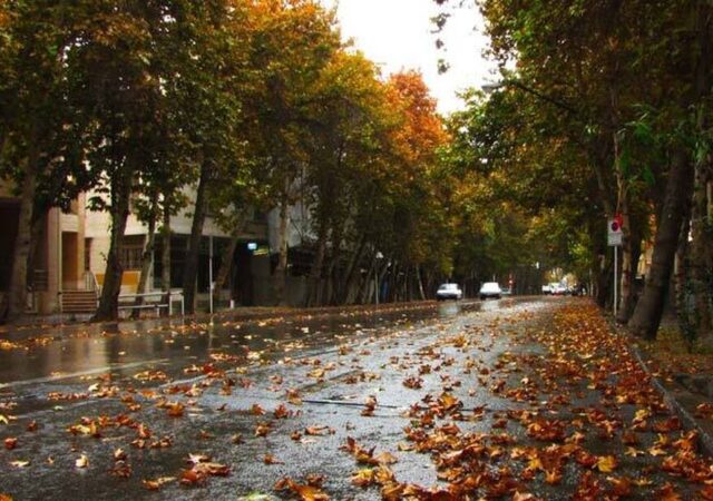 نام یک بازیگر زن مشهور بر خیابانی در تهران+ عکس
