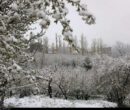 هشدار کاهش ۱۵ درجه‌ای دما در ۲۲ استان با نفوذ توده هوای سرد از فردا