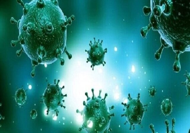 پنجمین فوتی آنفلوآنزا در هرمزگان ثبت شد