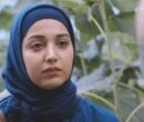 ماجرای جنجالی برنامه علی ضیا / روشنک گرامی عذرخواهی کرد