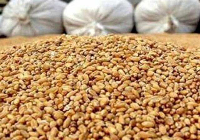 پرداخت تسهیلات برای خرید نهاده‌ با حذف ارز ترجیحی