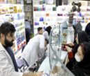 تزریق هدفمند منابع حوزه دارو و تجهیزات، اولویت راهبردی نظام سلامت