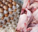 جزئیات کاهش قیمت مرغ، تخم مرغ و گوشت قرمز در بازار