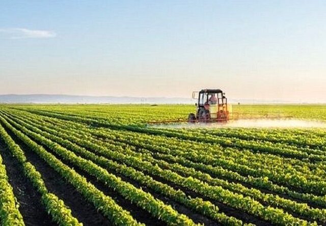 رفع تنگناهای فناورانه برای کاهش وابستگی در حوزه غذا و کشاورزی