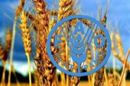 فائو: استفاده از فناوری هسته‌ای برای غلبه بر ناامنی غذایی ضروری است