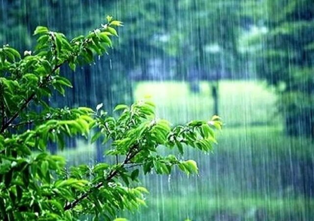 ترسالی نسبی در برخی استان‌های کشور / میانگین بارندگی در تهران کمتر از نرمال است