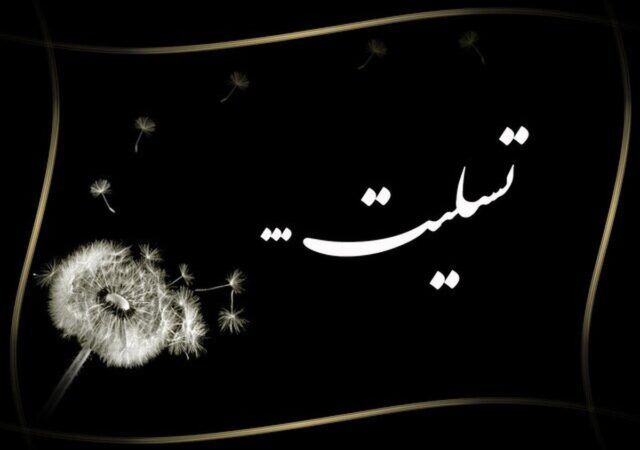 شهادت دانشجوی پزشکی در بمباران میدان انقلاب