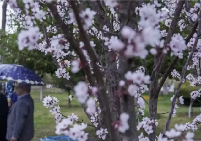 نمایی از رنگین کمان زیبا در تهران پیش از لحظه تحویل سال+ عکس