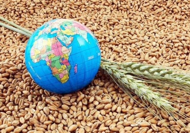 هشدار کارشناسان درباره بحران غذایی جهانی با بسته ماندن تنگه هرمز