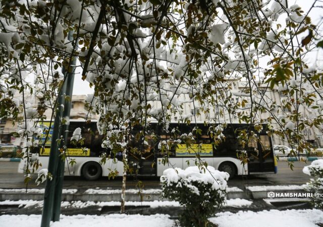 هواشناسی هشدار داد/ بارش‌ها تا پایان هفته در اغلب مناطق ادامه دارد