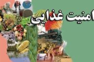 85 درصد امنیت غذایی کشور داخلی است