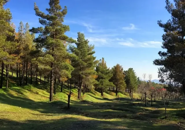 تعطیلی چهار بوستان جنگلی تهران در روز سیزده بدر/ اطلاعیه مهم شهرداری تهران
