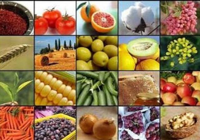 جهش تولید کشاورزی به 130 میلیون تن در سایه جنگ و خشکسالی