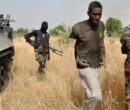 داعش بازگشت / قتل‌عام ۲۹ نفر را در یک روستا
