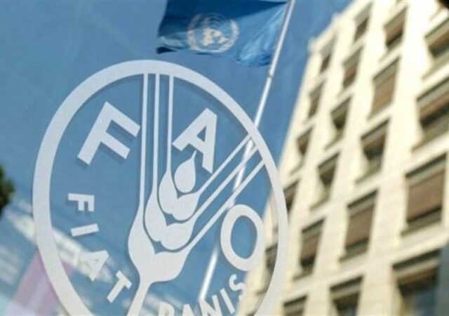 رشد 2.4 درصدی قیمت جهانی غذا در یک ماهه جنگ آمریکا علیه ایران
