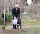 محسنی اژه‌ای، یک اصله نهال غرس کرد
