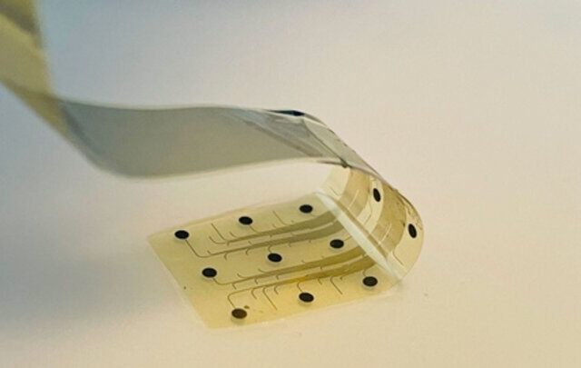 نخستین آزمایش رابط مغز گرافنی روی انسان‌ها موفقیت آمیز بود