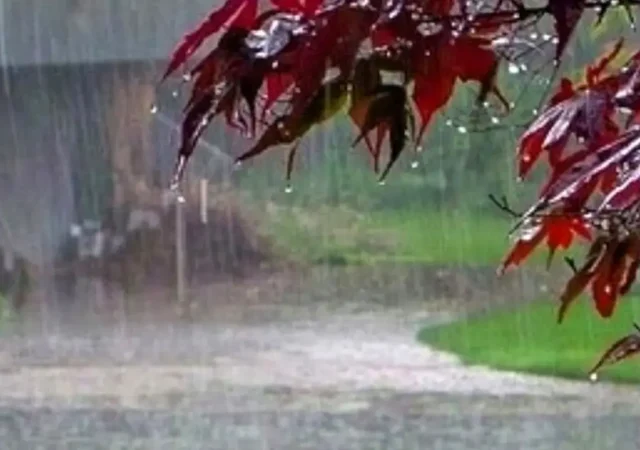 هشدار جدی هواشناسی صادر شد/ بارش‌های پراکنده و ورزش باد مهمان این استان