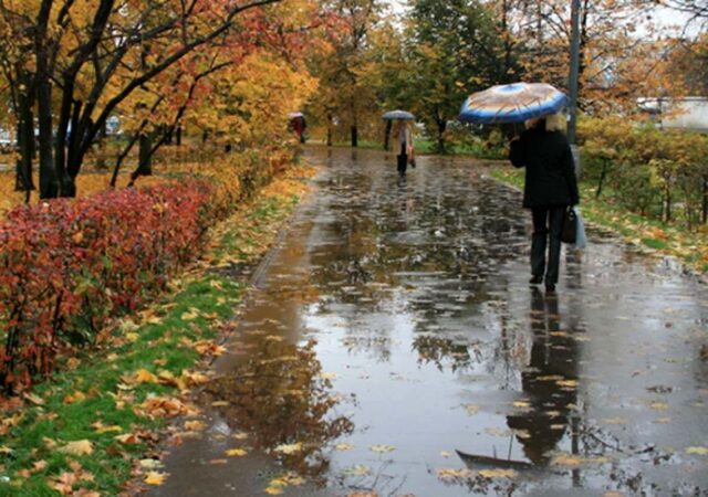 پیش بینی هوای تهران تا دو روز آینده/ وزش باد شدید و افزایش دما