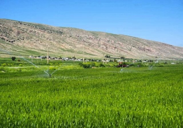 کریمی: ۱۸ هزار هکتار از اراضی سامانه گرمسیری به بهره‌برداری رسید