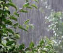 آسمان شمال و غرب تغییر کرد / هشدار بارش شدید در ۱۳ استان