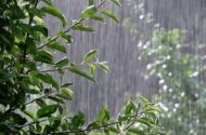 آسمان شمال و غرب تغییر کرد / هشدار بارش شدید در ۱۳ استان