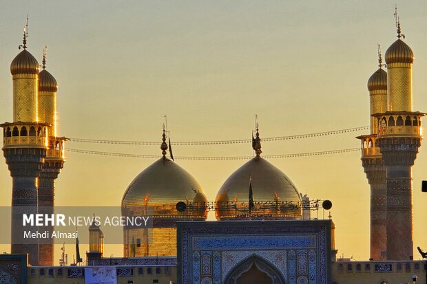 بازخوانی دکترین وکالت و مواسات در سیره امام جواد (ع)