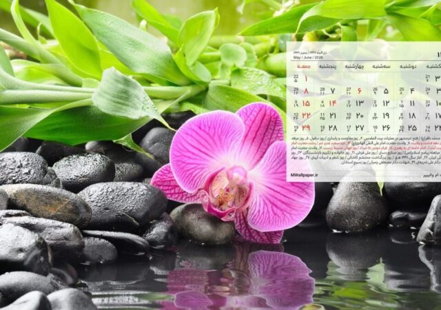 تقویم خرداد ۱۴۰۵ به همراه مناسبت‌ها / ۷ روز تعطیل رسمی در راه است + عکس