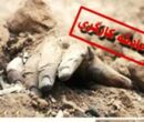 حفظ جان کارگران، یک اصل بنیادین در قانون کار
