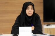 سعیدی: افزایش قیمت خودرو به بهانه نبود فولاد بررسی شد