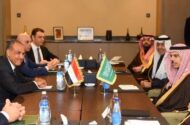 گفت‌وگوی وزیران خارجه مصر و عربستان درباره جنگ در منطقه
