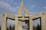 آمار دانشجویان هرسال کمتر از پارسال/ چرا دانشگاهها خلوت تر شده اند؟