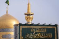 امام هادی(ع) از سیره هدایتگر جامعه تا زمینه سازی برای ولادت منجی