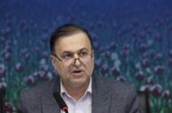 بهفر: تأمین ایمنی غذا منوط به مشارکت همگانی است