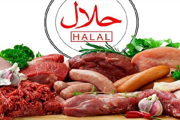 تنها ۳۰ درصد سیاست‌ها عملیاتی می‌شوند؛ تدوین سند ملی حلال