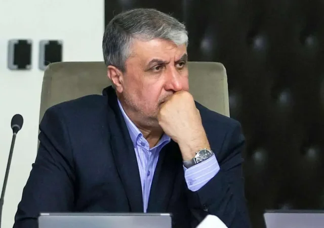 رئیس سازمان انرژی اتمی: دو واحد نیروگاه اتمی بوشهر اکنون در حال احداث هستند